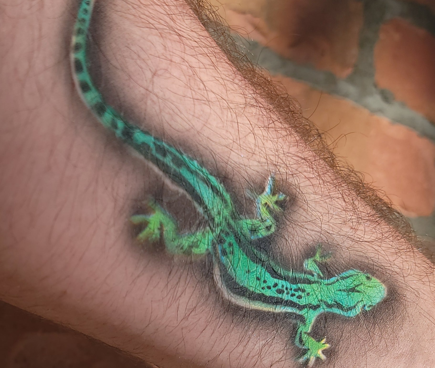 3D tattoo lizard amazing how they got the lizard's head to look like it's  above the shoulder. | Butterfly tattoo designs, Best 3d tattoos, Lizard  tattoo